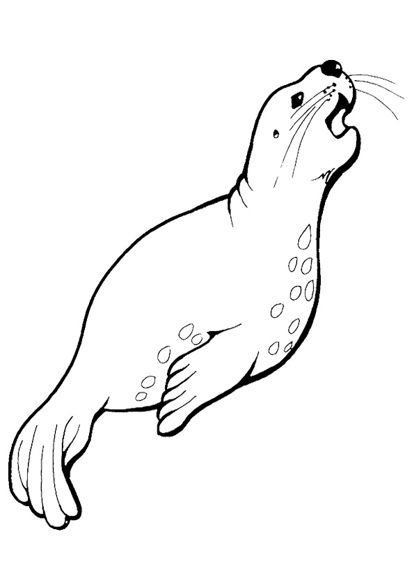 Plansa de colorat cu Foca 10 2